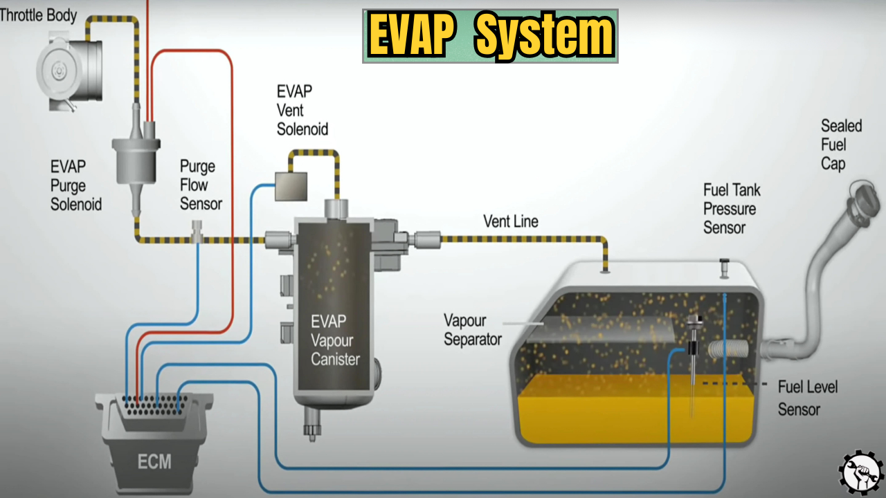 Evaporative Emission Control System