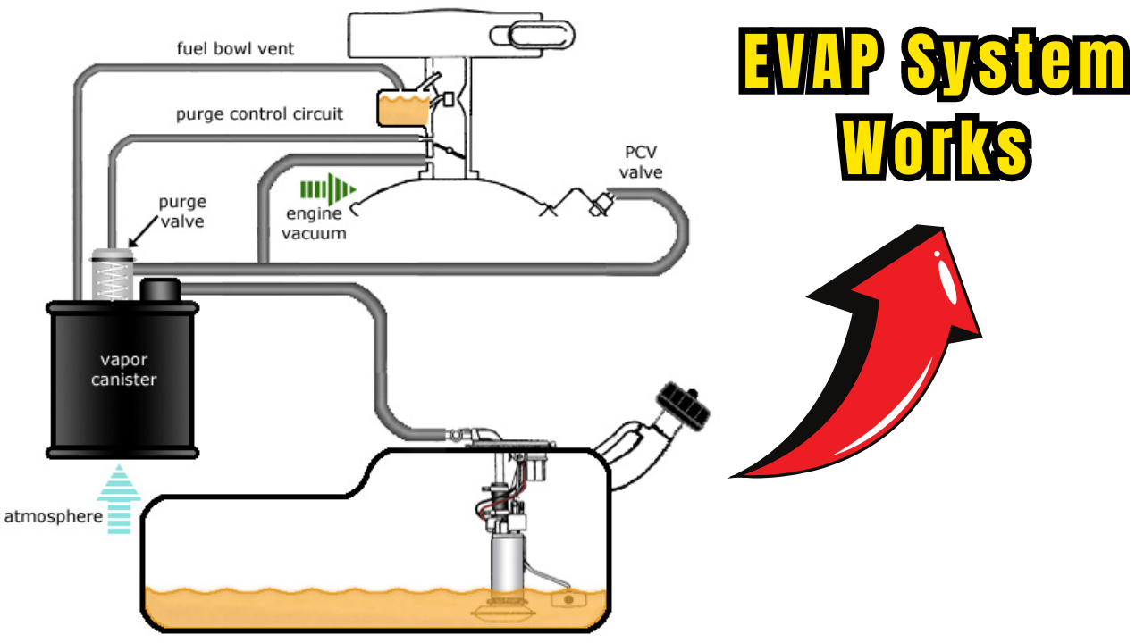 Evaporative Emission Control System