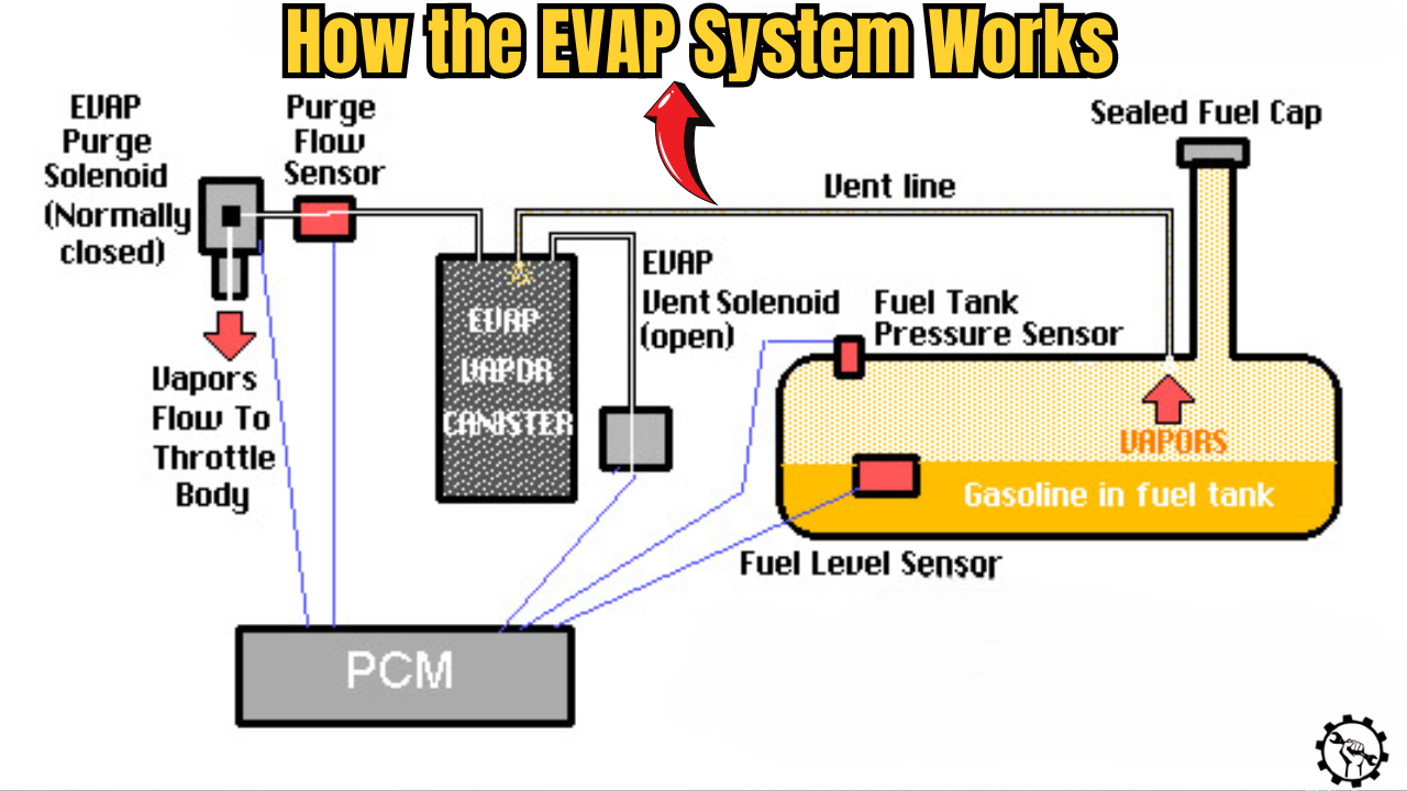 Evaporative Emission Control System